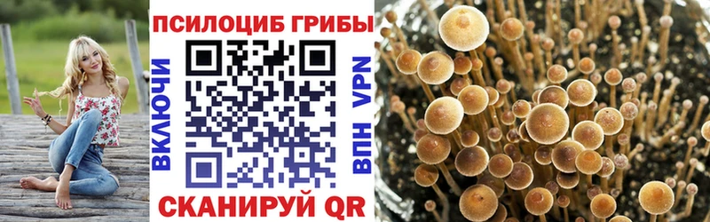магазин продажи Александровск-Сахалинский Галлюциногенные грибы Magic Shrooms